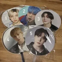 Item thumbnail for item 6a5ef605-1090-44a0-81e5-b5af882d2feb