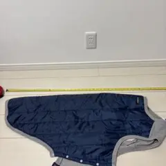 Item thumbnail for item 64b5b33c-b0ad-411b-a4a1-d58eb7e485ab