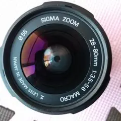 Item thumbnail for item 9e356a40-fd6d-4d54-8fbb-1423a9aa79f9