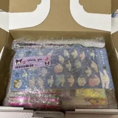 夏休み企画 お得パック