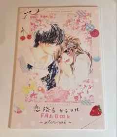 【非売品・匿名配送】 恋降るカラフル 水瀬藍 ファンブック