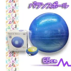 Y 未使用 バランスボール フィットネスラバー ヨガボール 65㎝ 専用ポンプ付
