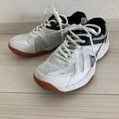 Item thumbnail for item 9513158e-dcc1-45f9-bd99-e52ab18205ee