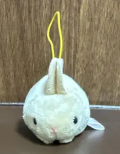 うさぎ