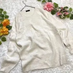 【ZARA】 ザラ クルーネックリブセーター コットン プルオーバー メンズ