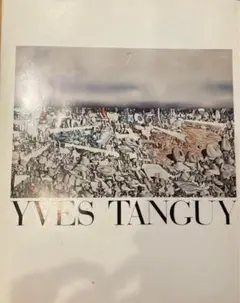 【中古本】イヴ・タンギー アーチの増殖 4801000754.jpg