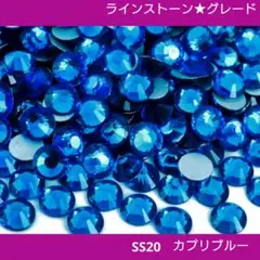 ラインストーン★カプリブルー SS20 新体操の衣装に