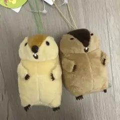 マーモットのもっとっとモア vmc マスコット ぬいぐるみ 2個セット