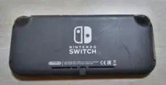 ジャンク品Nintendo Switch Lite グレー 本体　画面が不良です