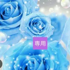 専用