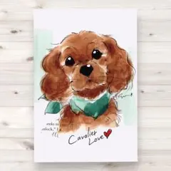 イラスト 原画 ポストカード 絵 【キャバリア】152