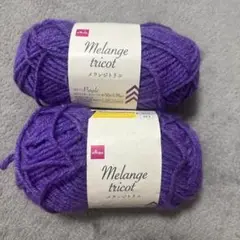 Melange tricot パープル 50g 150m