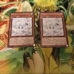 マルチャミー フワロス 2枚
