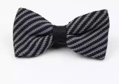 Item thumbnail for item 9a4940ae-c5b2-4603-bc9e-41af0337e23a