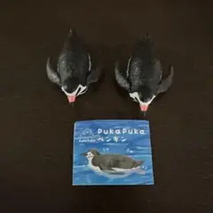PukaPuka ペンギン　フンボルトペンギン2個