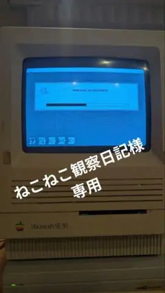 m93276991270_1.jpg?1743340922