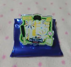 阪神 オールスター アクリルネームバッジ 佐藤輝明