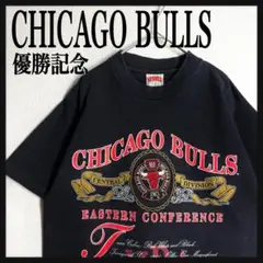 【最高ヴィンテージ☆シカゴブルズ】ナツメグミルズ NBA オールド Tシャツ