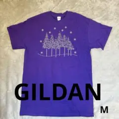 GILDAN パープル Tシャツ Mサイズ