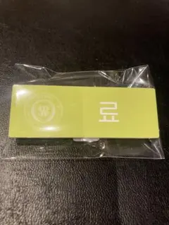 SMTOWN LIVE 2025 グッズ　ネームバッジ　リョウ