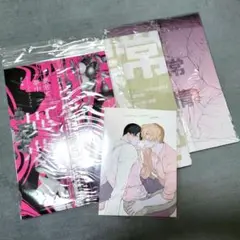 ヒーリングパラドックス 異常と夢中 異常も愛情 異常が日常 番外編 ヒーリングパラドックス 昼寝シアン 番外編 異常と夢中 異常が