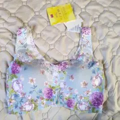 Item thumbnail for item f8970d36-26b9-4191-8b1e-6752f4683d35