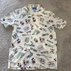 Item thumbnail for item cf82160e-da0a-45a6-bab6-97246520b216