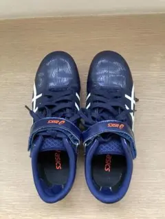 Item thumbnail for item e6c55cba-9b7b-4b1b-93f8-90537f82fda4