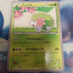 【予約中！】 幻·伝説ドリームキラコレクション CP5 シェイミ 003/036 メルカリ - ポケモンカードゲーム