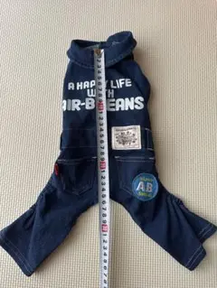 Item thumbnail for item 0dba7bea-39fe-4d38-ae18-9306a9223c7b