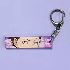 ハイキュー!! トレーディング目ヂカラアクリルキーホルダーコレクション