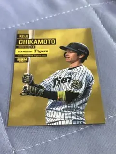 bbm 阪神タイガース 2025 近本 レギュラーバリエーション 写真違い