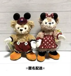 【新品・未使用】【タグ付き】ダッフィー ぬいぐるみバッジ　ハロウィン　極美品