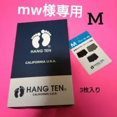 ハンテン HANG TEN ボクサーブリーフ M 3枚入り