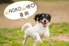 ⭐NOKO⭐様♡専用