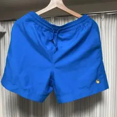 Carhart WIP CHASE SWIM TRUNKS