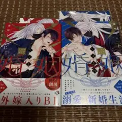 チシュ王の婚姻～花嫁に交わる王の糸～ 上下セット 藤咲もえ コミコミ特典付き