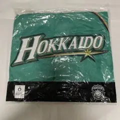 北海道日本ハムファイターズ　we love Hokkaido ユニフォーム