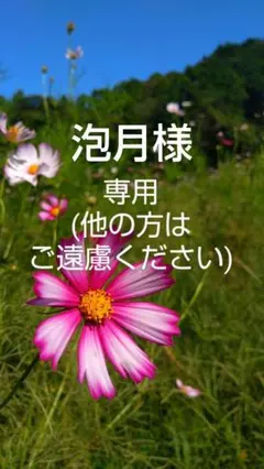 泡月様 専用(他の方はご遠慮ください)