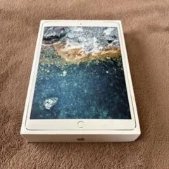 Apple iPad Pro10.5 64GB シルバー