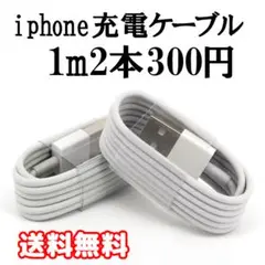 ライトニングケーブル 1m 2本 充電器 iphone アイフォン ケーブル