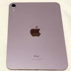 Apple iPad mini (第6世代)ピンク256GB