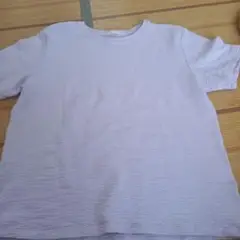 ラベンダー XL Tシャツ