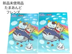 新品未使用品　タマ&フレンズ クリアファイル 2枚セット　べー　ごん　大起水産