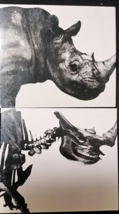 Mr.Children ベストCDセット