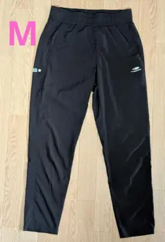 Item thumbnail for item c20b4ebe-39aa-4d9b-bbaa-9dd6b85848af