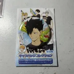 ハイキュー　キャラバッジコレクション　水遊び　黒尾鉄朗