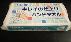 【新品】スコッティ　キレイの仕上げハンドタオル　〈ソフトタイプ〉2枚重ね100組