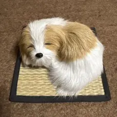 おやすみワンちゃん 犬の置き物 フサフサワンコ 飾り物 インテリア