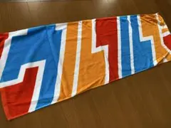 ウルフルズ 2009 SOUL SUMMER ULFULS ツアー タオル